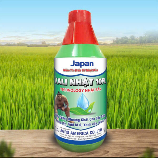 VALY NHẬT 10FL (1 LÍT)