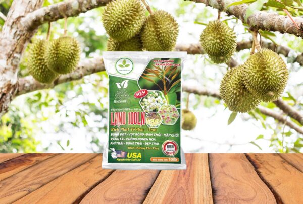 LANO 100LN BUNG ĐỌT-VỌT BÔNG 100GR