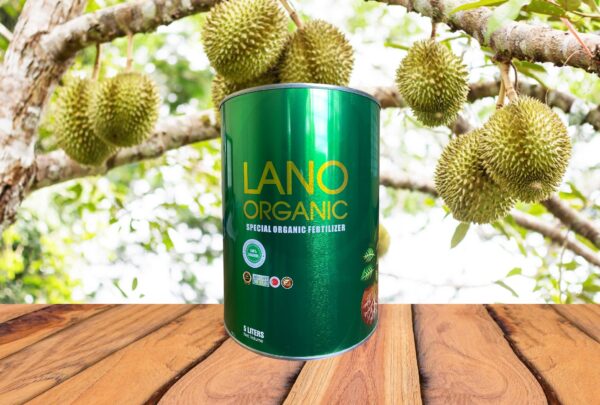LANO ORGANIC THỔ NHĨ KỲ 5 LÍT