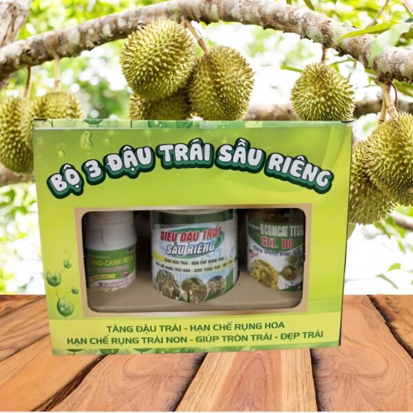 BỘ 3 ĐẬU TRÁI SẦU RIÊNG - AMERICA