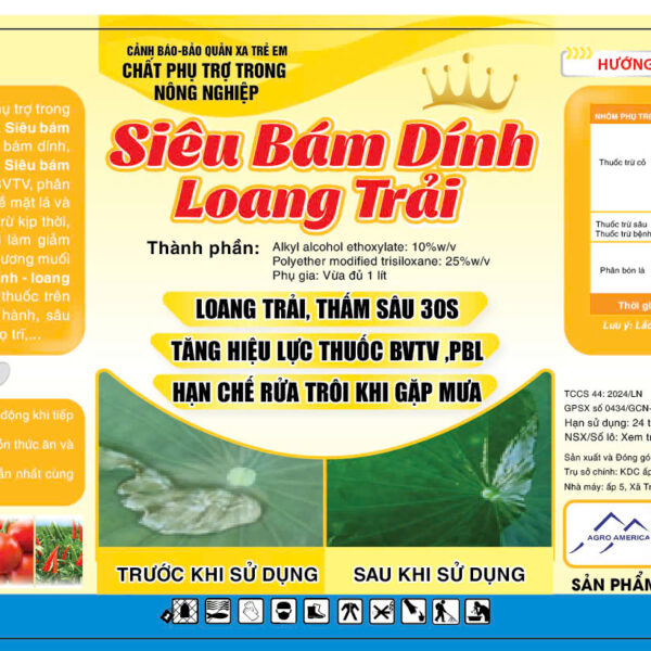 Alternative view of SIÊU BÁM DÍNH- LOANG TRẢI