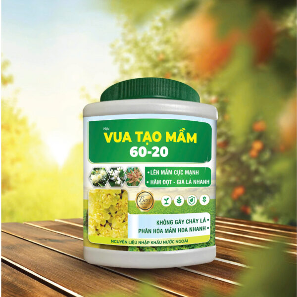 VUA TẠO MẦM 60-20 (500GR)