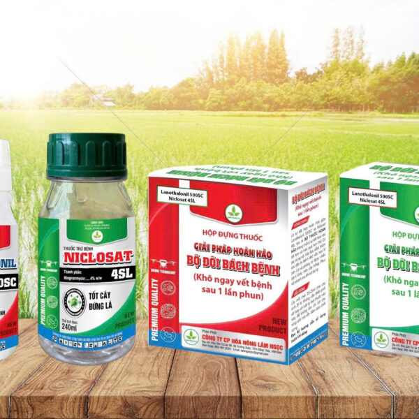 BỘ ĐÔI BÁCH BỆNH