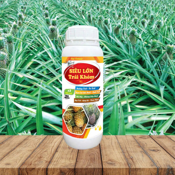 SIÊU LỚN TRÁI KHÓM - 1 LÍT