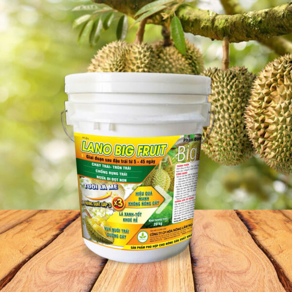 LANO BIG FRUIT - Xô 20kg