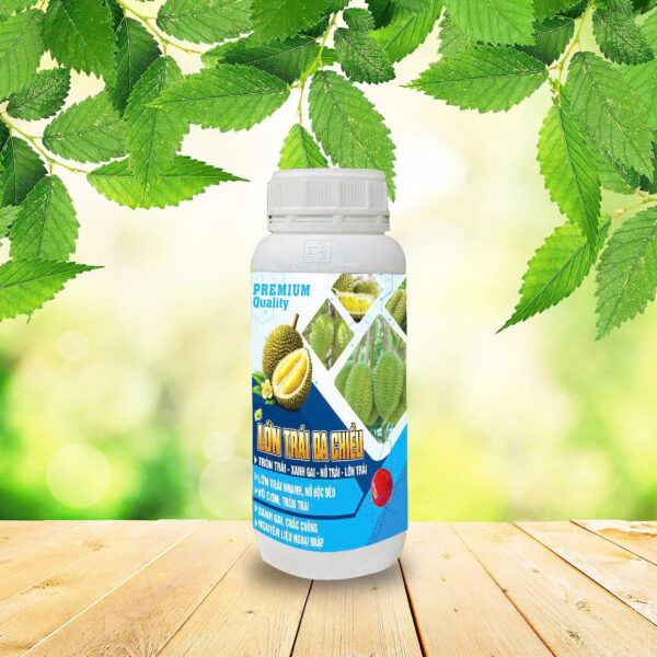 LỚN TRÁI ĐA CHIỀU-500ML