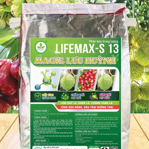 MAGIE LƯU HUỲNH-10KG