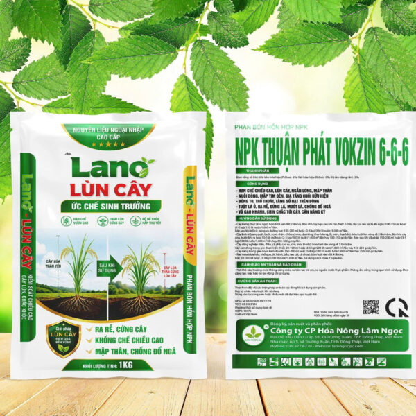 LANO LÙN CÂY-1KG