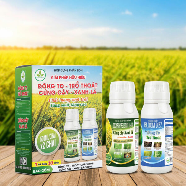 ĐÒNG TO-TRỔ THOÁT CỨNG CÂY-XANH LÁ